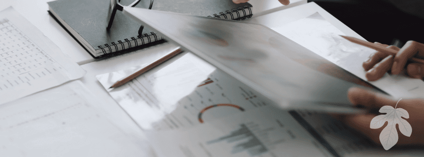 Executive Summary: Capital Development